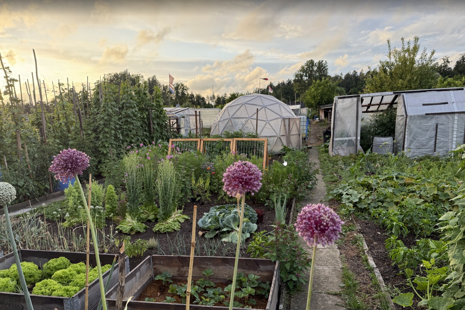Bepflanzter Garten mit Giglu